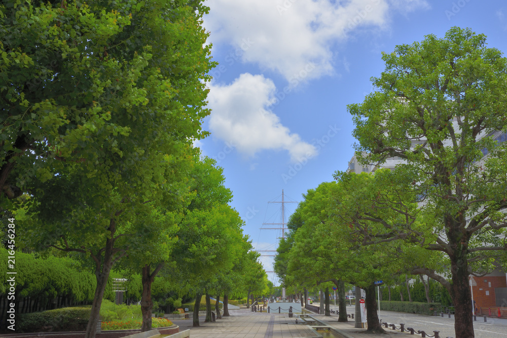 Obraz premium 三笠公園周辺の遊歩道