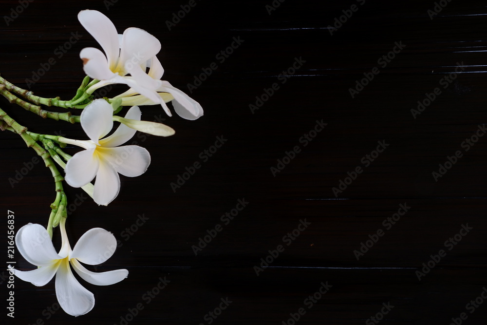 Fototapeta premium wooden copy space