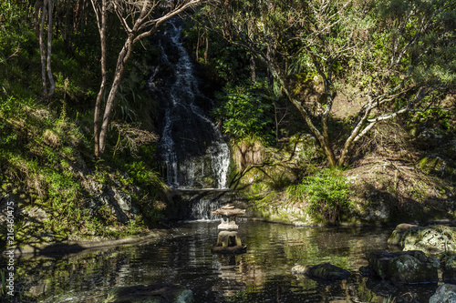 Japanese Garden Pond  Wellington Botanic Gardens  New Zealand.