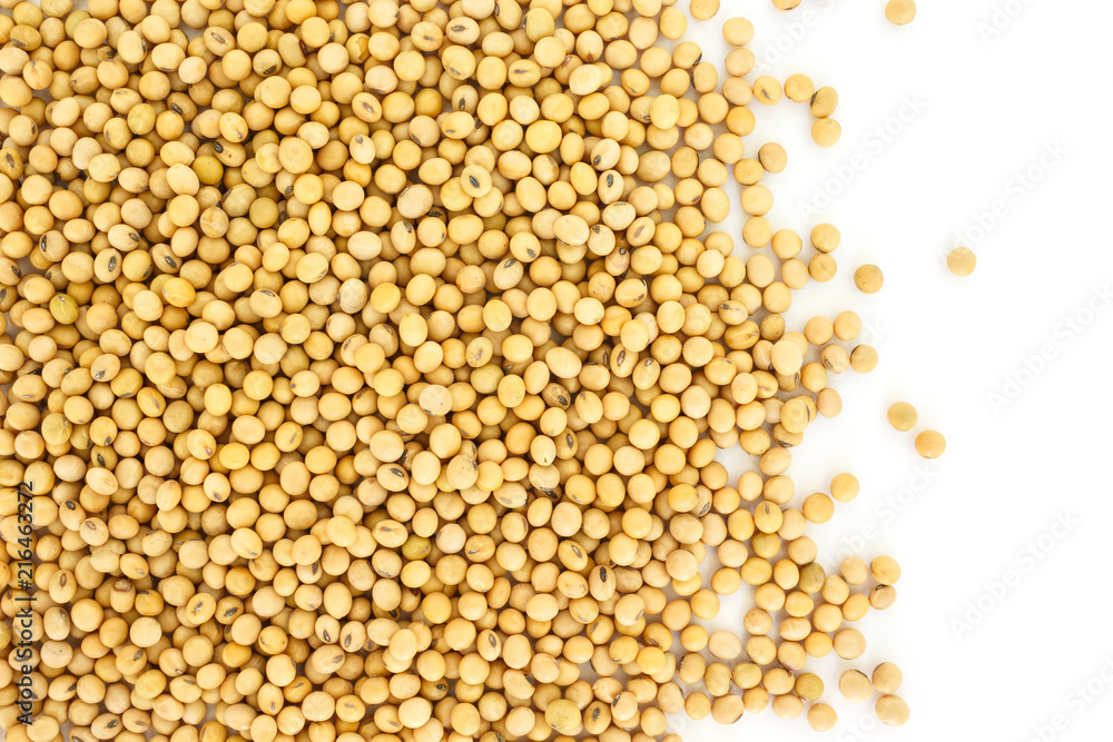 soy bean plant seed healthy vegetable food nature background soy bean plant seed healthy vegetable food nature background