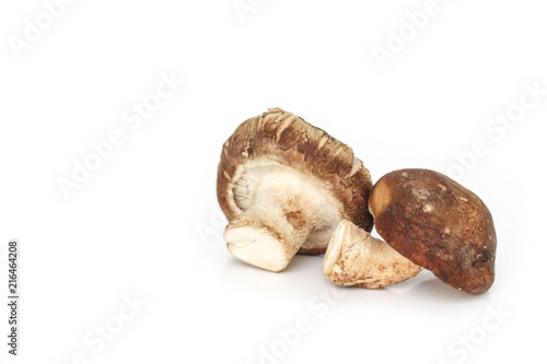 mushrooms on white background.