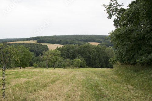 landscape in the forest spessart