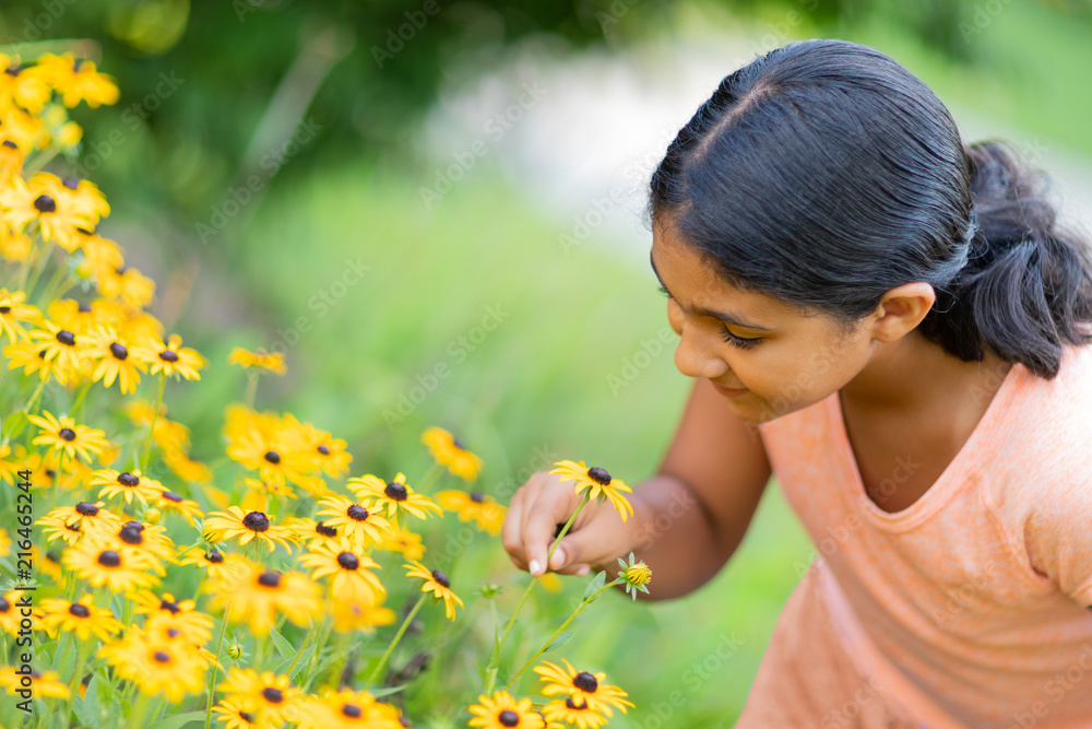 Little Girl Admiring Sunflowers in a Garden Little Girl Admiring Sunflowers in a Garden