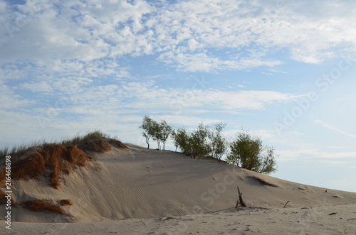 Monahan's Sandhills State Park, TX
Clouds and Dune with a tree.
