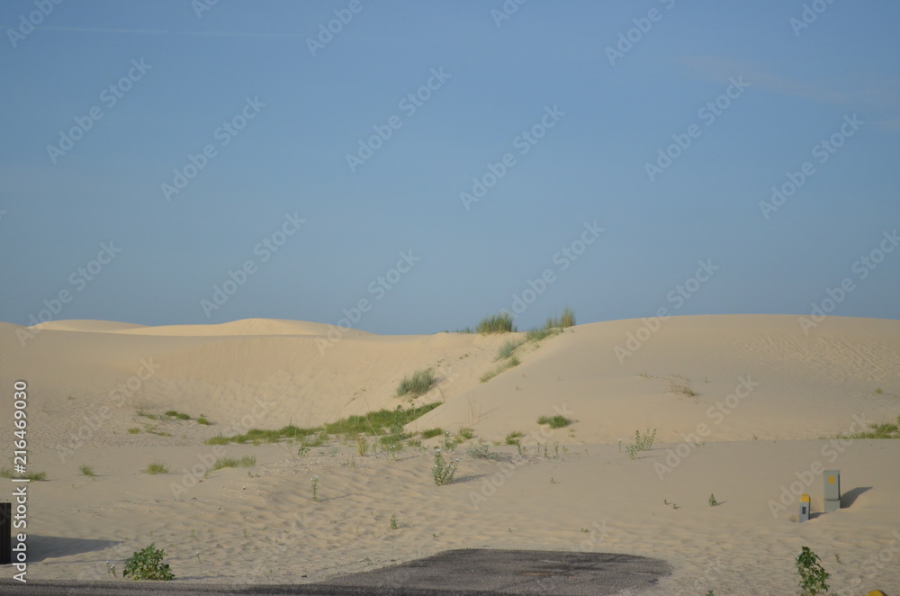 Monahan's Sandhills State Park, TX
Sand and grassy areas
Monahan's Sandhills State Park, TX
Sand and grassy areas