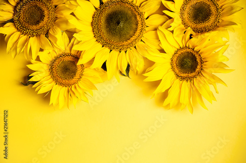 Beautiful sunflowers on yellow background. Yellow flower. Holiday harvest concept