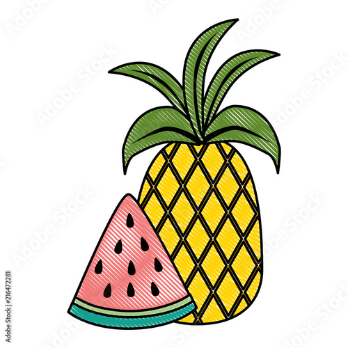 watermelon sliced with pineapple vector illustration design