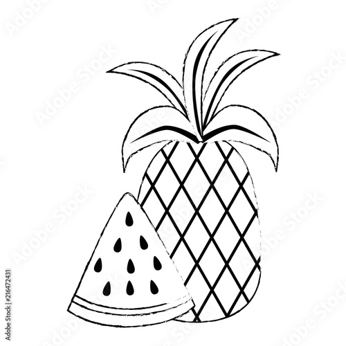 watermelon sliced with pineapple