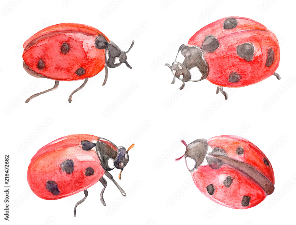 Obraz premium cute collection of ladybugs. watercolor painting