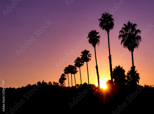 Incredible horizontal view of a vivid sunset with sunburst and silhouette of palm trees