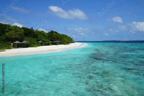 View of a beautiful beach with turquoise water in Baa Atoll  Maldives