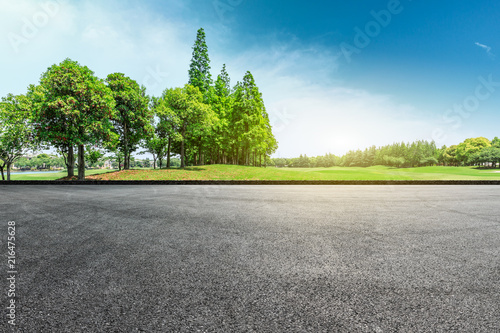 Empty asphalt road and green forest landscape