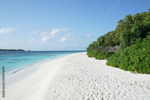 Bild auf Leinwand View along a beach in Baa Atoll, Maldives