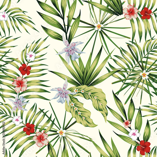 Exotic plants composition nature illustration seamless