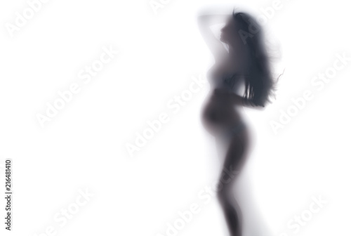 Pregnant woman full length shadow portrait isolated on white background. Unrecognizable slim silhouette pregnant woman touching her belly. Pregnancy. Baby Shower.
