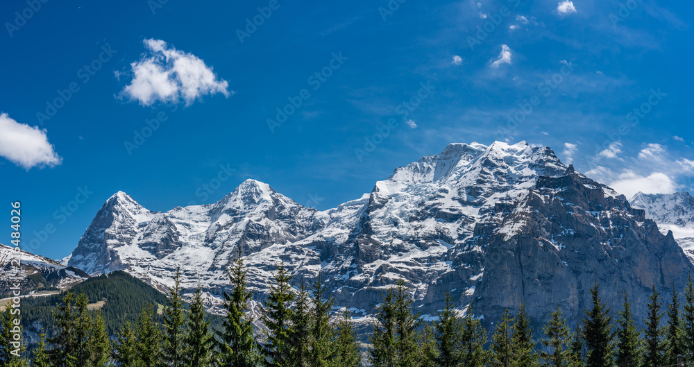Alps panorama from Murren