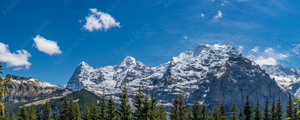 Alps panorama from Murren