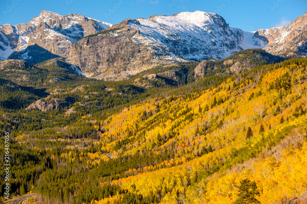 Aspen grove at autumn in Rocky Mountains