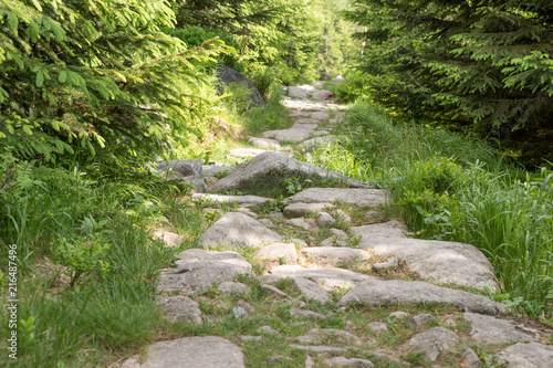 Stony hiking trail in the forest. Walking path for tourists