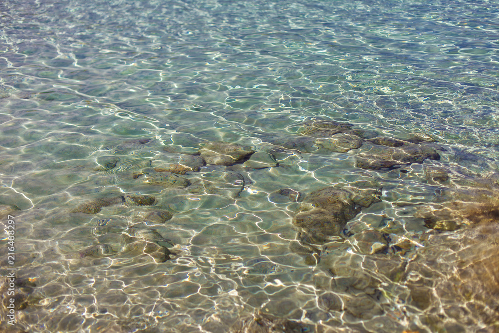 Fototapeta premium Crystal sea water