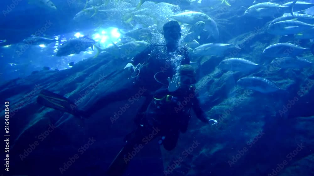 A scuba Diver waving at the Camera in a Under water diving Experience. A scuba Diver waving at the Camera in a Under water diving Experience.