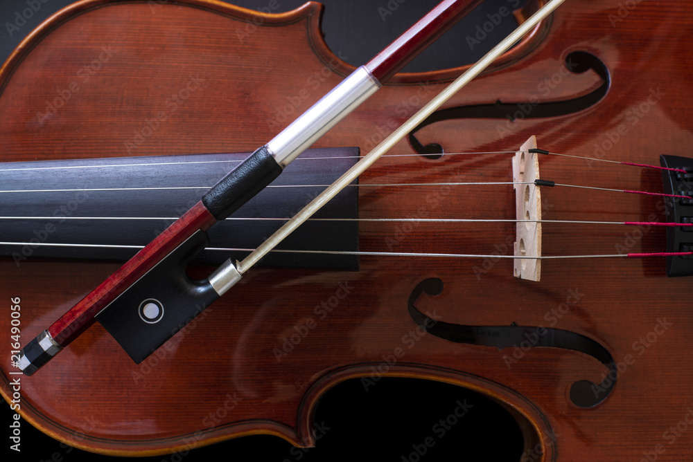 Fototapeta premium Violin 2