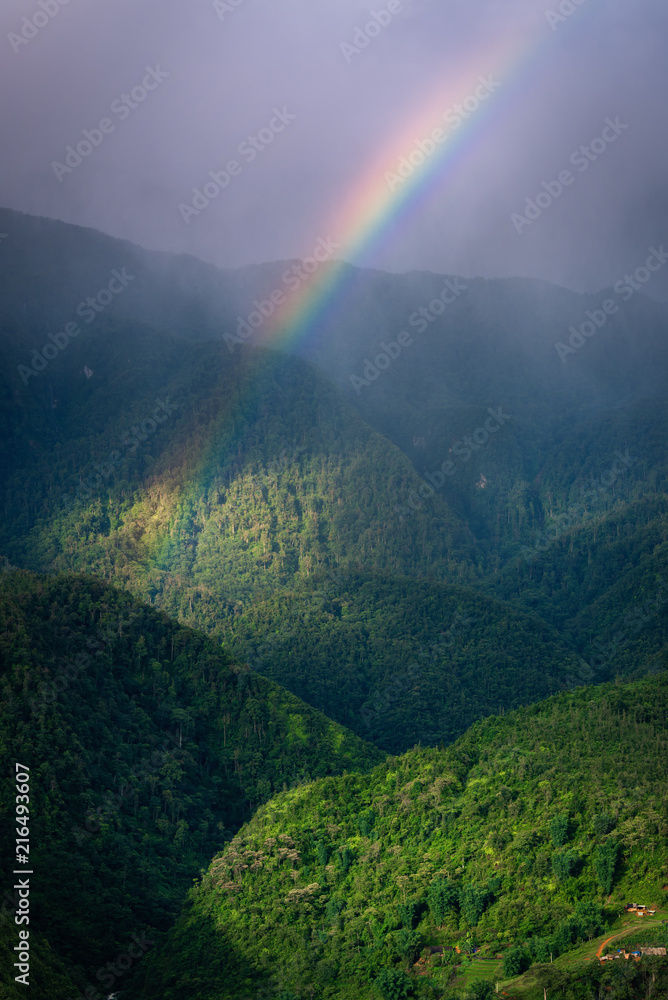 Natural Landscape Scenery of The Mountain Green Forest With Spectrum Rainbow, Nature Outdoor Scenic of Jungle and Colorful Rainbow at Rainy Season. Ecology of Rainforest Environmental Natural Landscape Scenery of The Mountain Green Forest With Spectrum Rainbow, Nature Outdoor Scenic of Jungle and Colorful Rainbow at Rainy Season. Ecology of Rainforest Environmental