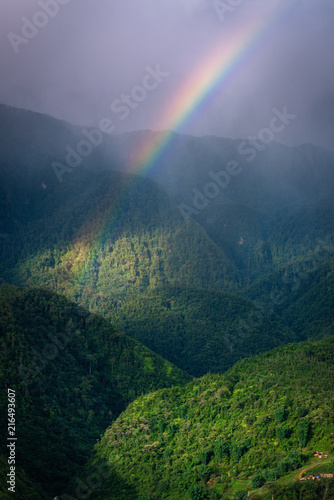 Natural Landscape Scenery of The Mountain Green Forest With Spectrum Rainbow, Nature Outdoor Scenic of Jungle and Colorful Rainbow at Rainy Season. Ecology of Rainforest Environmental