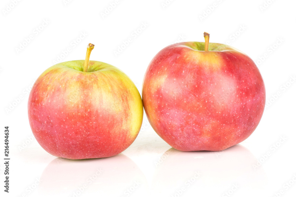 Group of two whole glossy fresh red apple james grieve variety isolated on white background Group of two whole glossy fresh red apple james grieve variety isolated on white background
