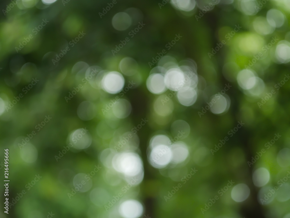 Bokeh background blur. Bokeh background blur.