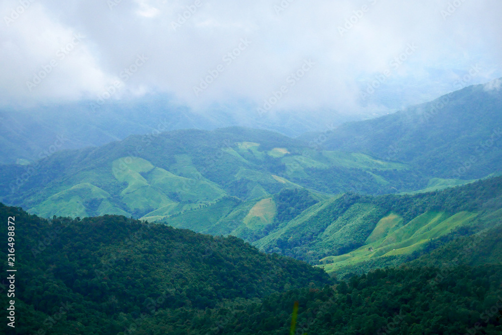 Mountain green landscape in winter.