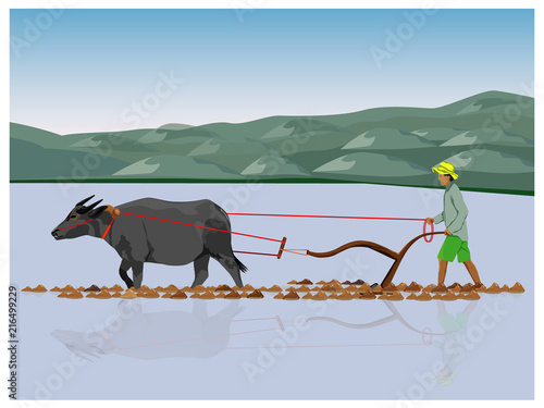 farmer plow in paddy field vector design