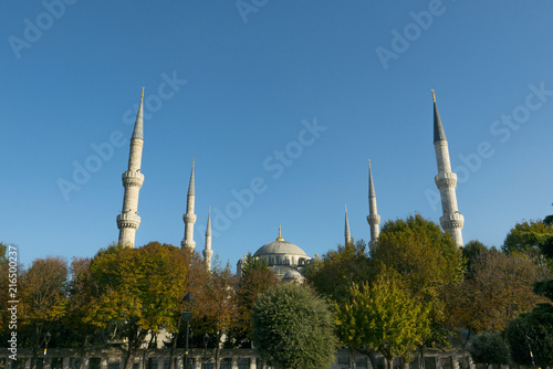 Sultanahmet (Blue mosque) in Istanbul, Turkey during falls.