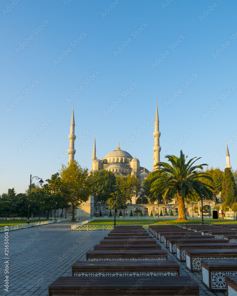 Exterior of Sultanahmet (Blue mosque) in Istanbul, Turkey during falls.