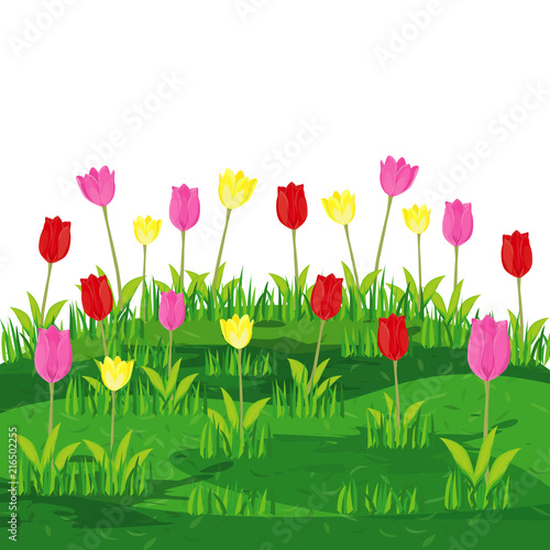 beautiful tulip flower vector design