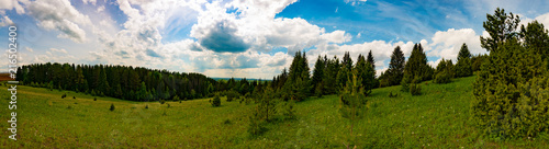 Panorama of green fields and forests