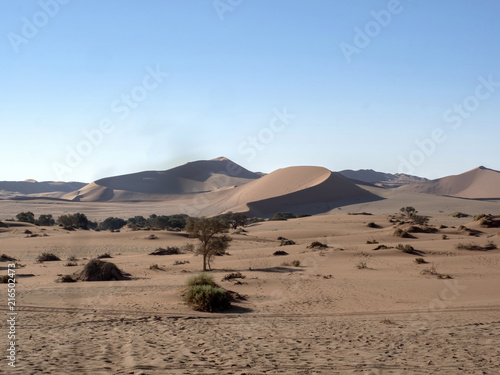 Wind modeling sand, in Sossusvlei, Namibia