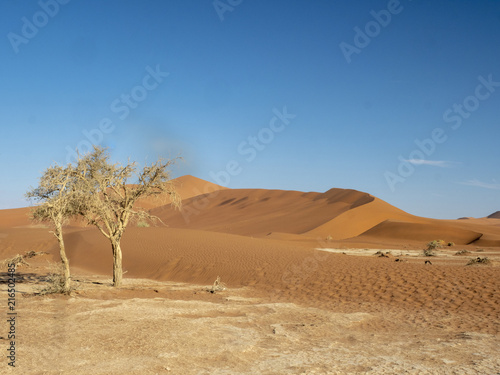 Wind modeling sand  in Sossusvlei  Namibia