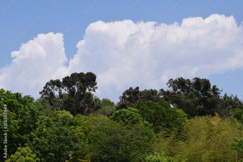 Obraz premium ５月の空