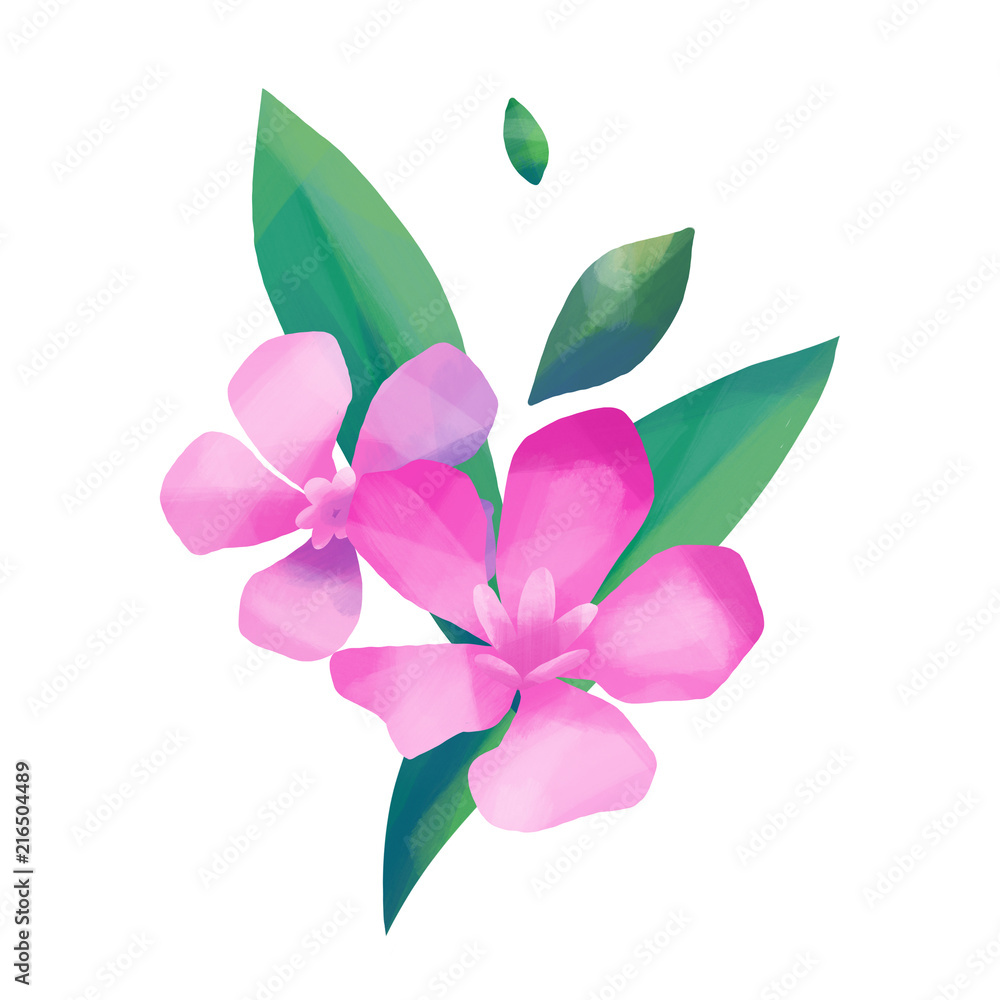 Pastel colored design with oleander flowers Pastel colored design with oleander flowers