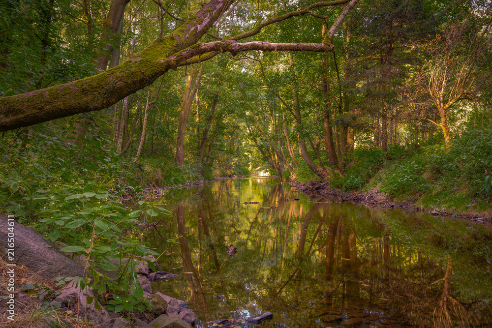 River Reflection River Reflection