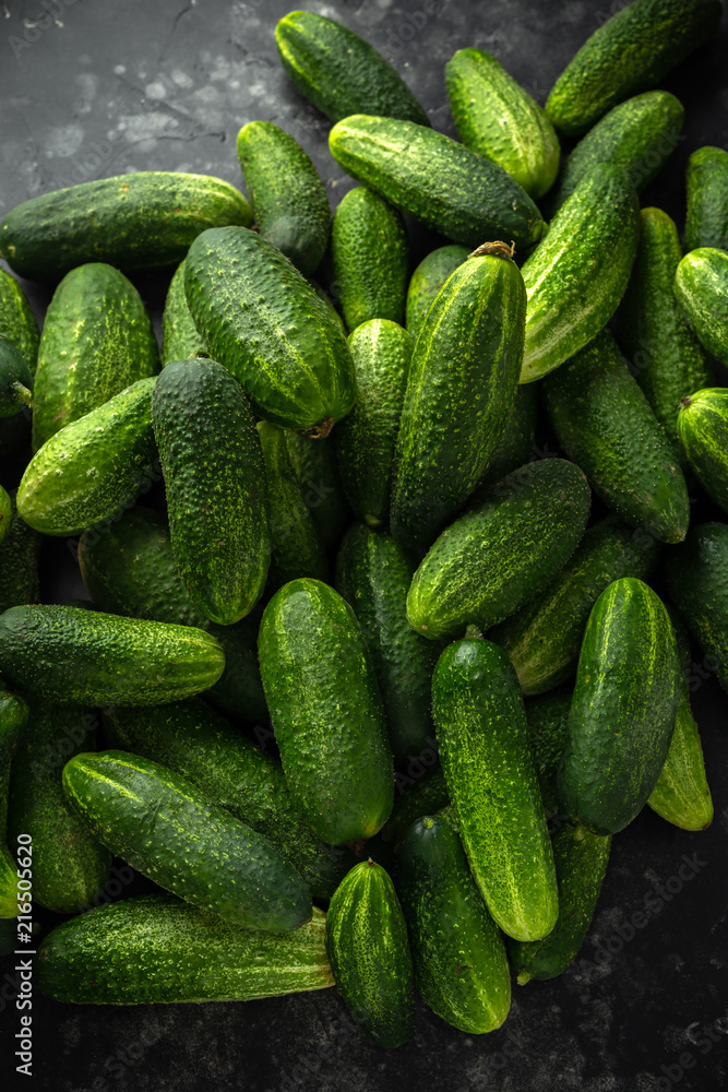 Freshly picked organic cucumber harvest. background, texture. Freshly picked organic cucumber harvest. background, texture.