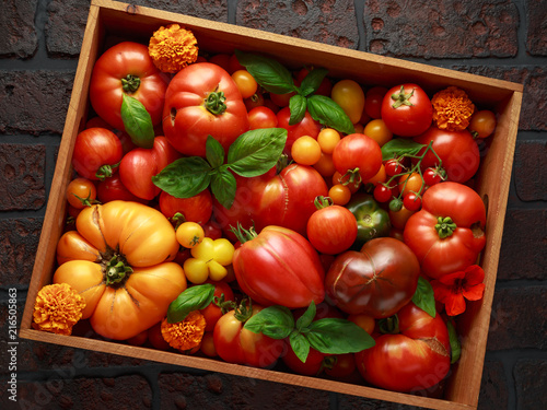 Freshly picked heirloom tomato harvest: pear shaped, beef heart, tigerella, brandywine, cherry, black. In wooden box photo