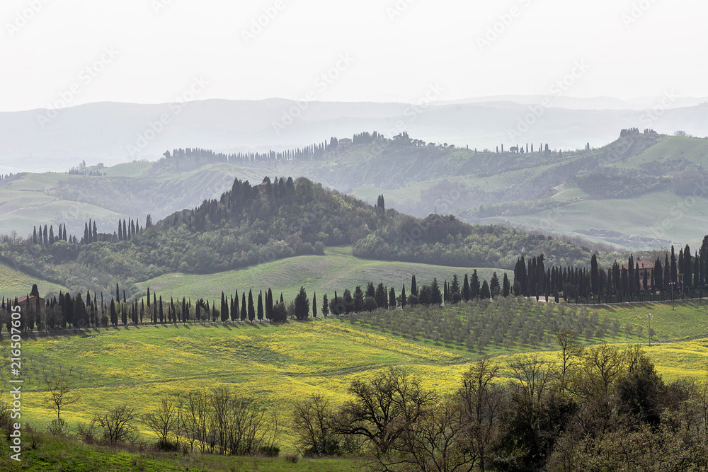Green hills of Tuscany in early spring