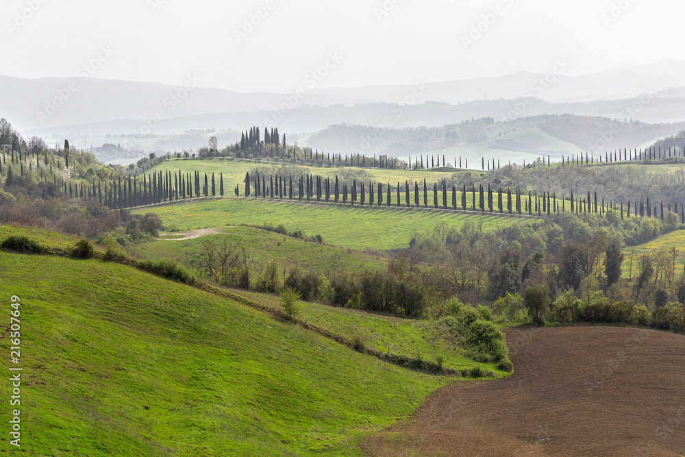 Green hills of Tuscany in spring