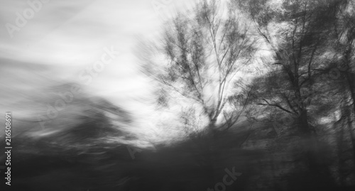 Abstract black and white intentional motion blured photo of trees and vegetation during late summer sunset