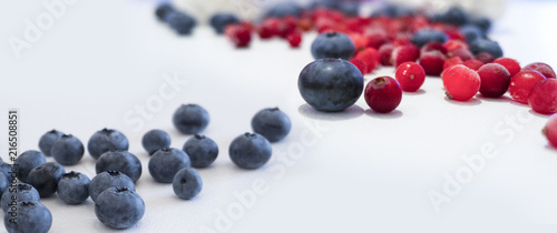 Blueberries and cranberries...
