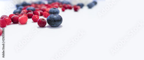 Blueberries and cranberries...