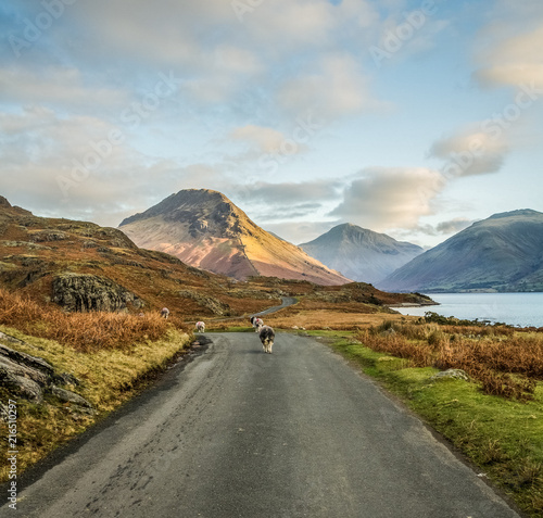 Rush hour in Wasdale. English Lake district.