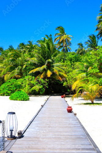 Wood path on white sand and palm forest photo